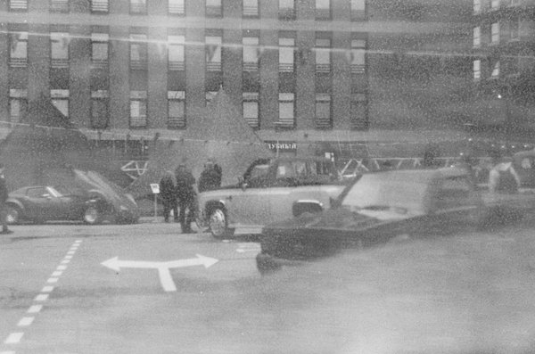 Top bénéfices du shampoing vegan hydratation cut by fred